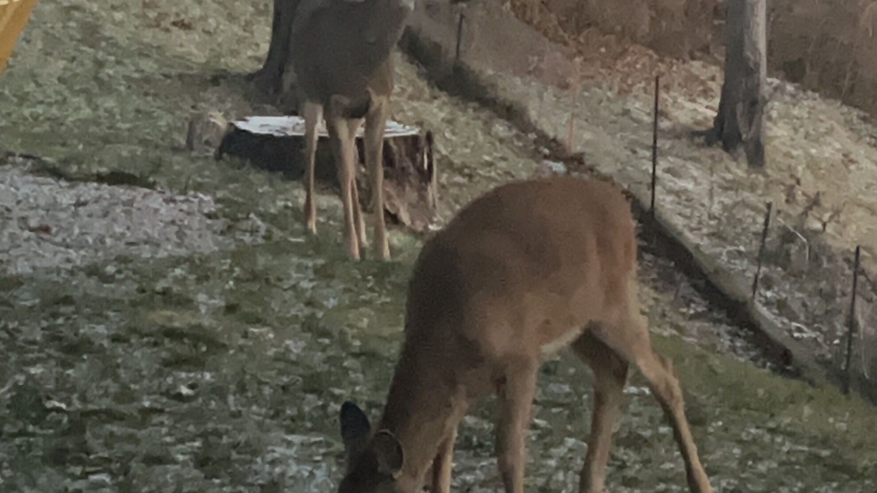 Photo of Others in Central Elgin