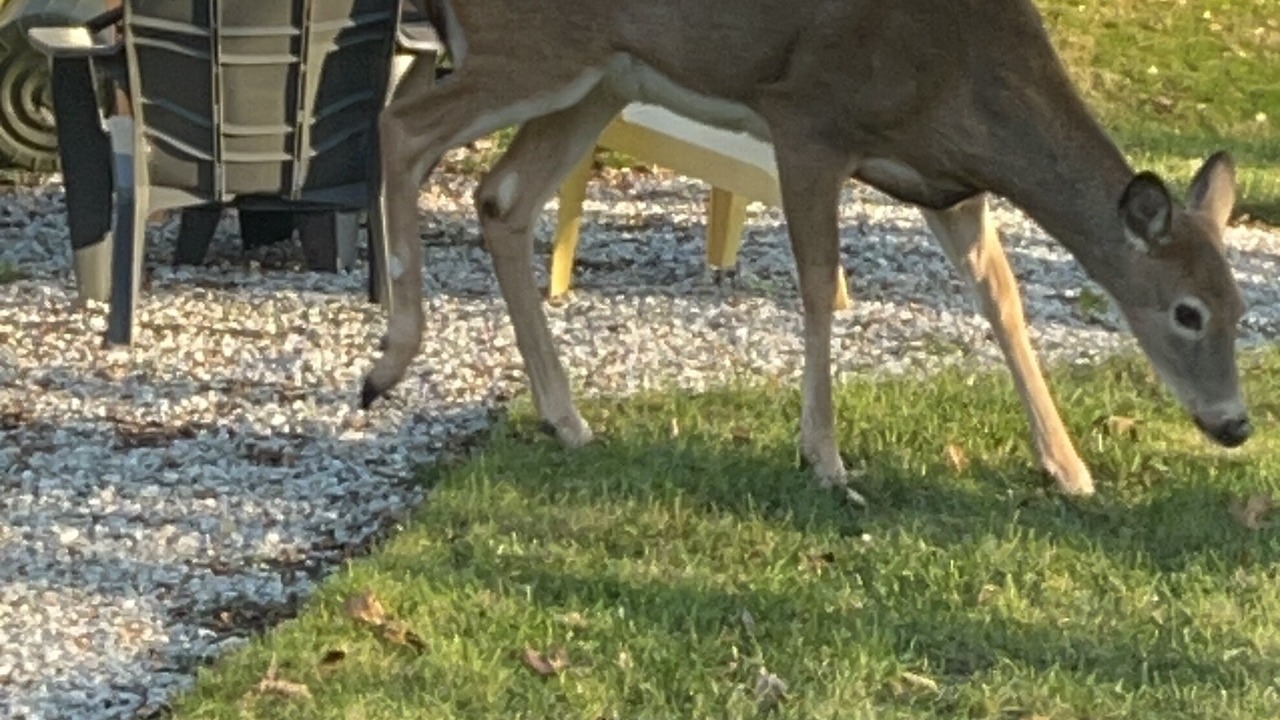 Photo of Outdoor in Central Elgin