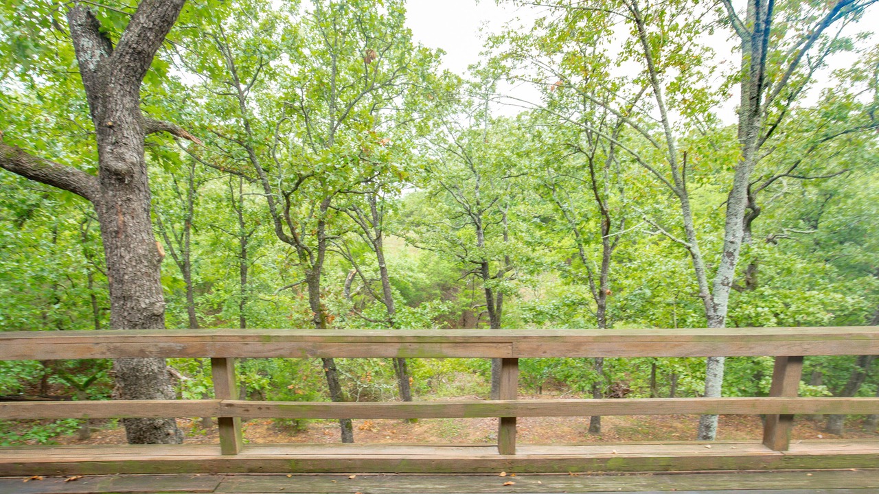Photo of Outdoor in Sulphur