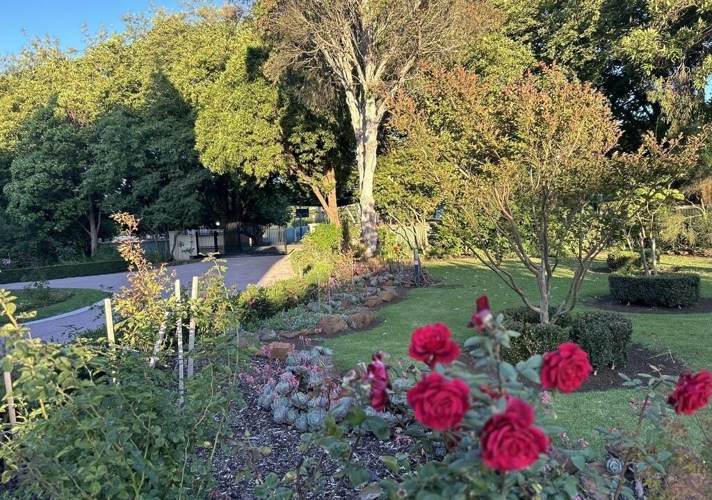 Photo of Outdoor in Koroit