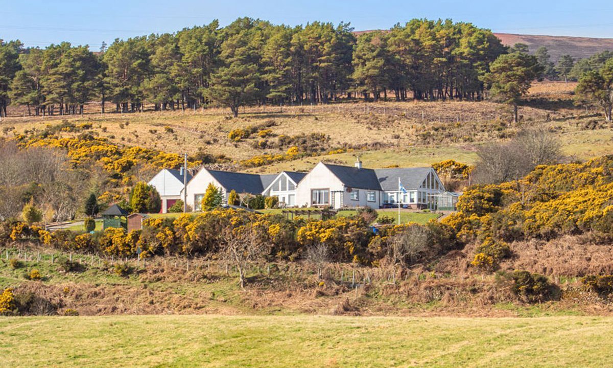 Photo of Others in Brora