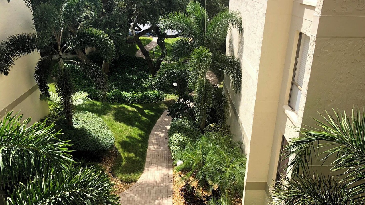 Photo of Outdoor in Siesta Key