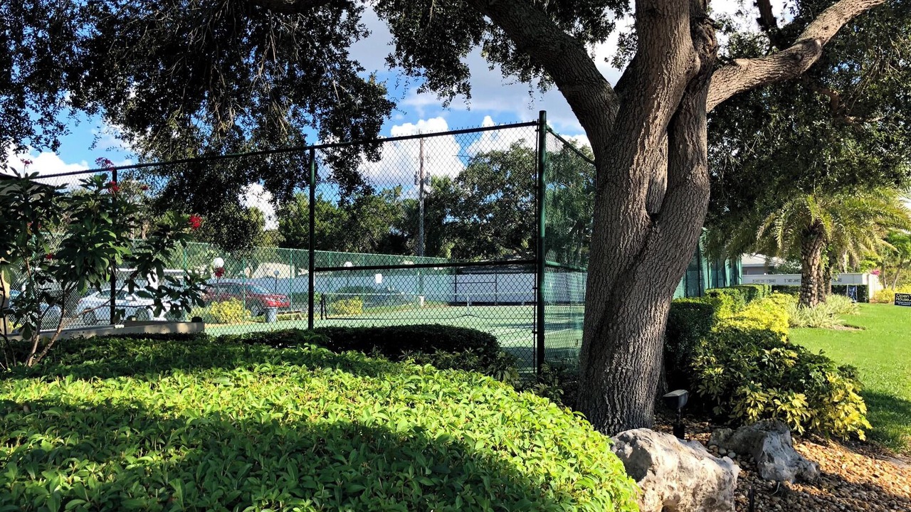 Photo of Others in Siesta Key