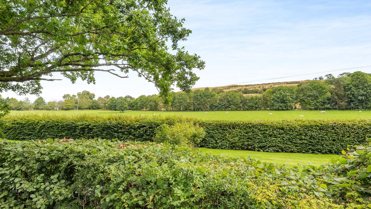 Photo of Outdoor in Montgomery