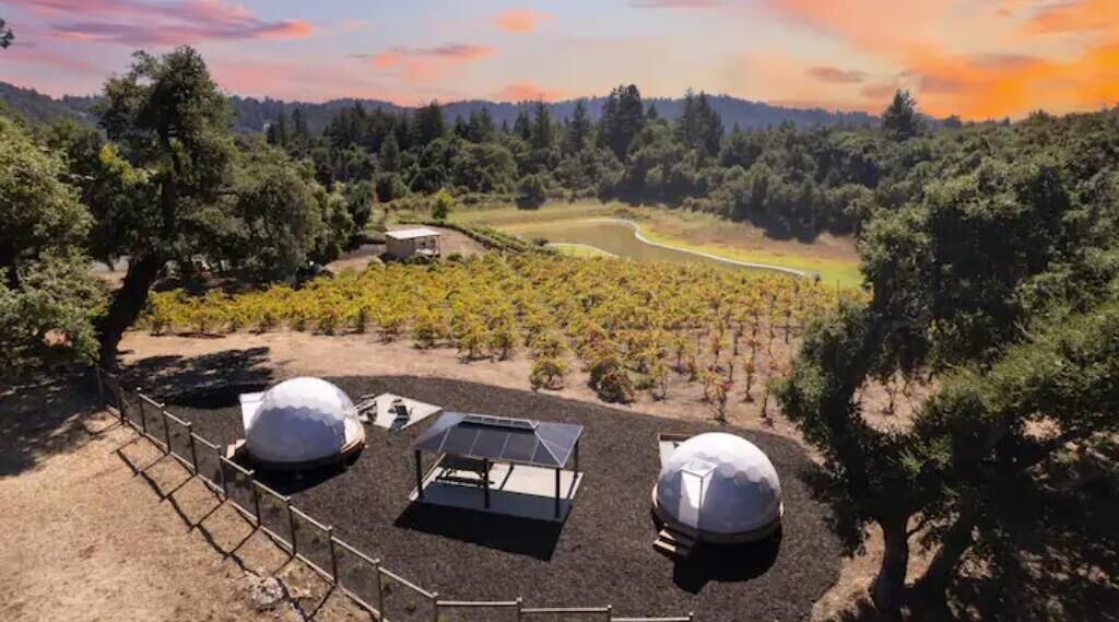 Photo of Outdoor in Felton