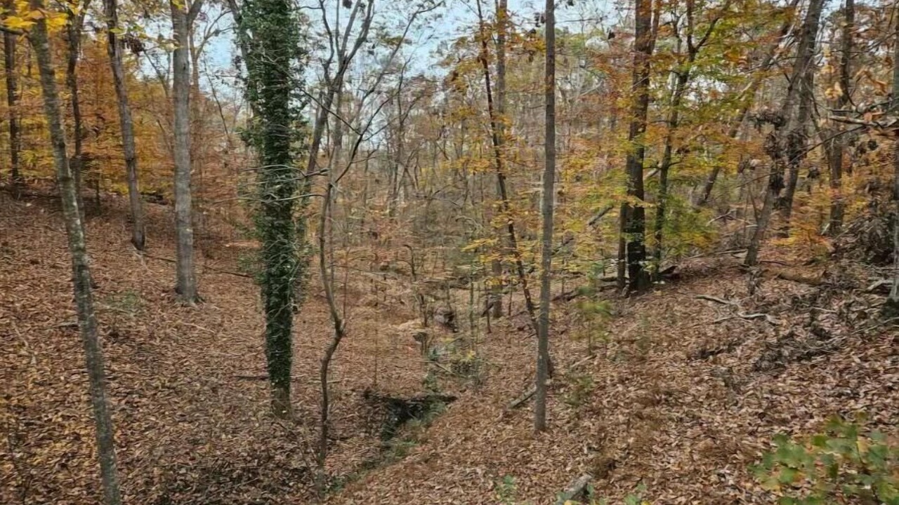 Photo of Outdoor in Flowery Branch