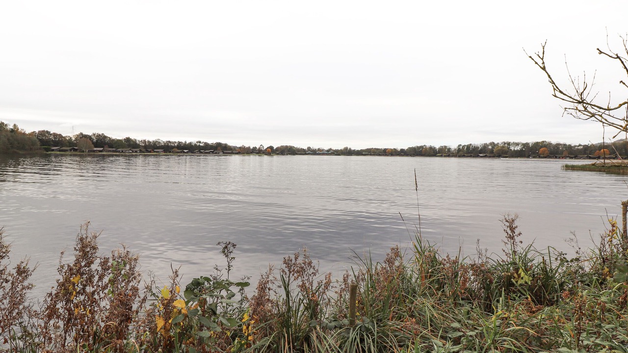 Photo of Others in Yealand Conyers