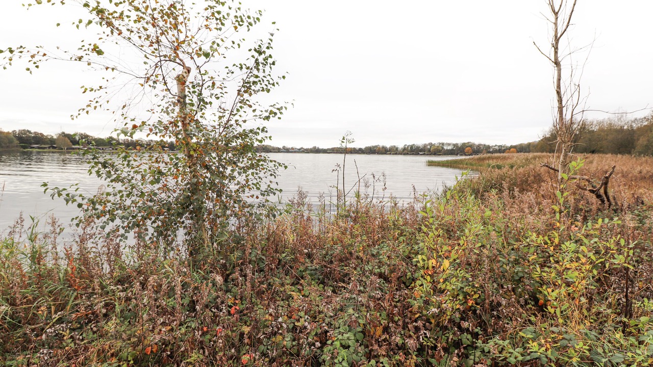 Photo of Others in Yealand Conyers