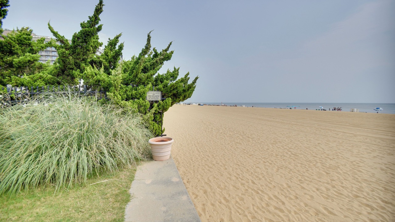Photo of Others in Virginia Beach