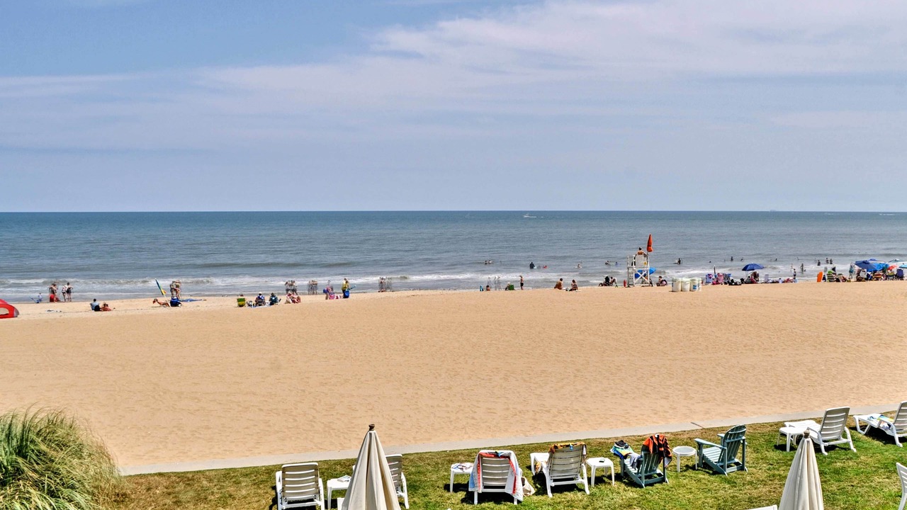 Photo of Others in Virginia Beach