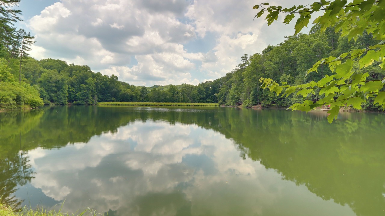 Photo of Others in Blue Ridge