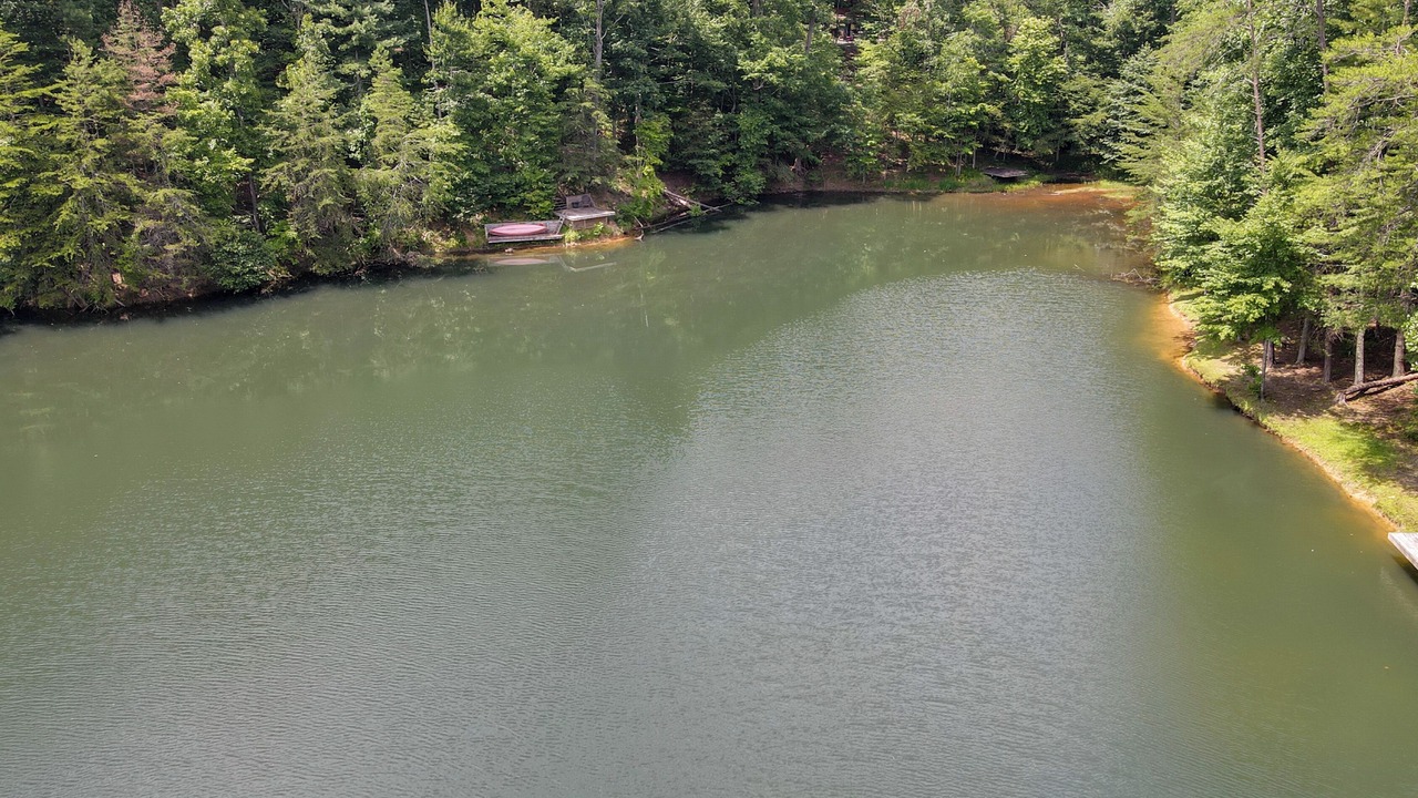 Photo of Others in Blue Ridge