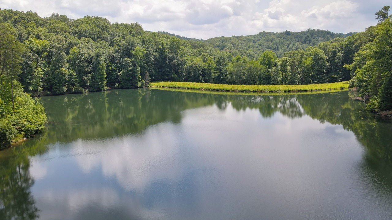 Photo of Others in Blue Ridge
