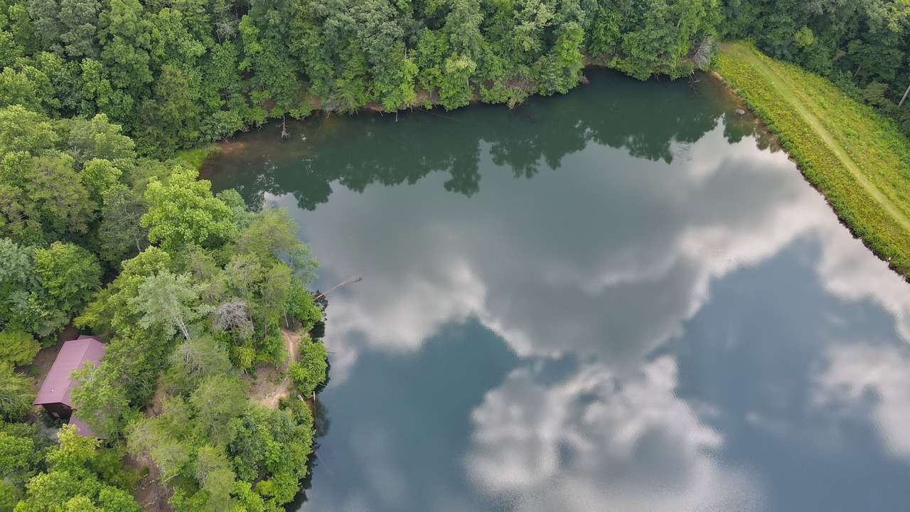Photo of Others in Blue Ridge