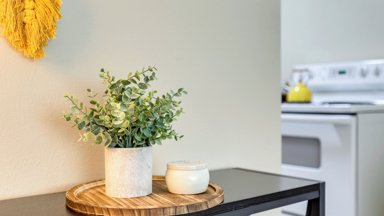 Photo of Others in Ballard