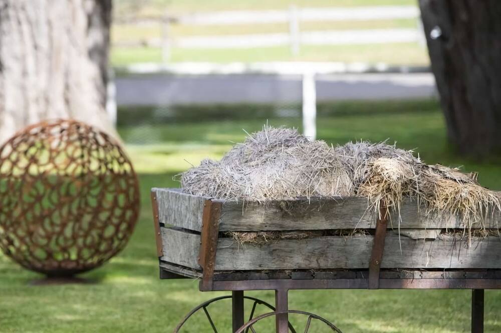 Photo of Outdoor in Berrima