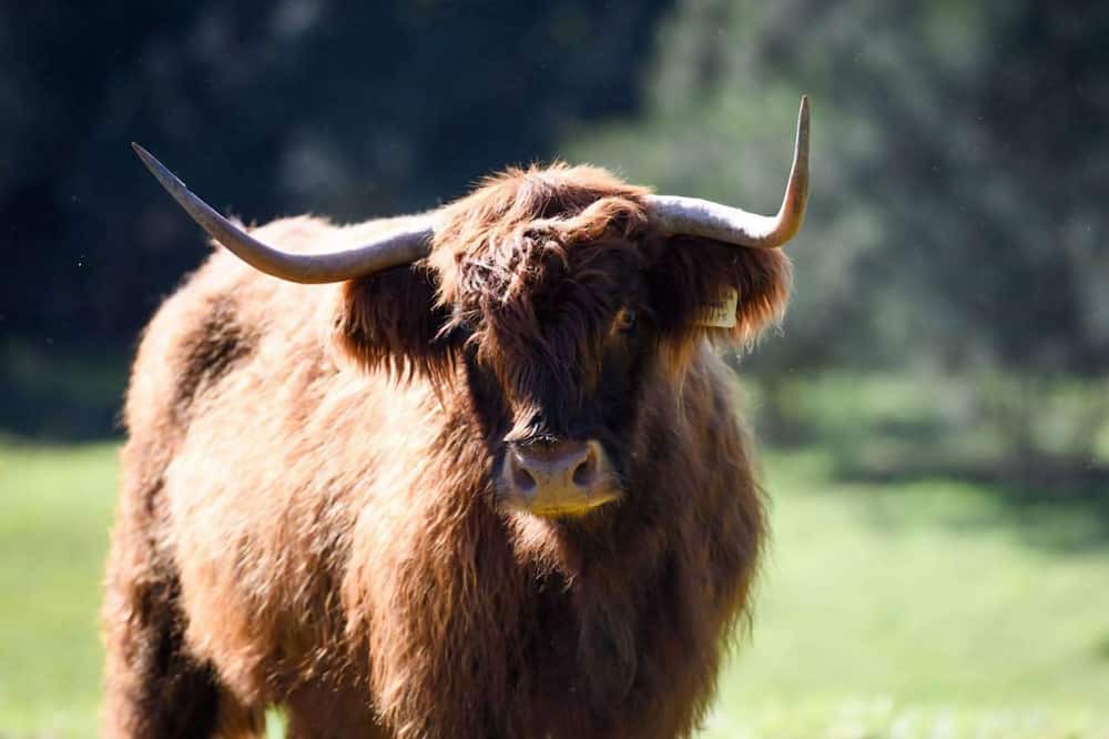 Photo of Others in Wattamolla