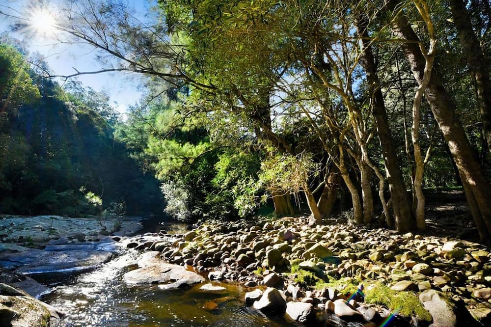 Photo of Outdoor in Wattamolla