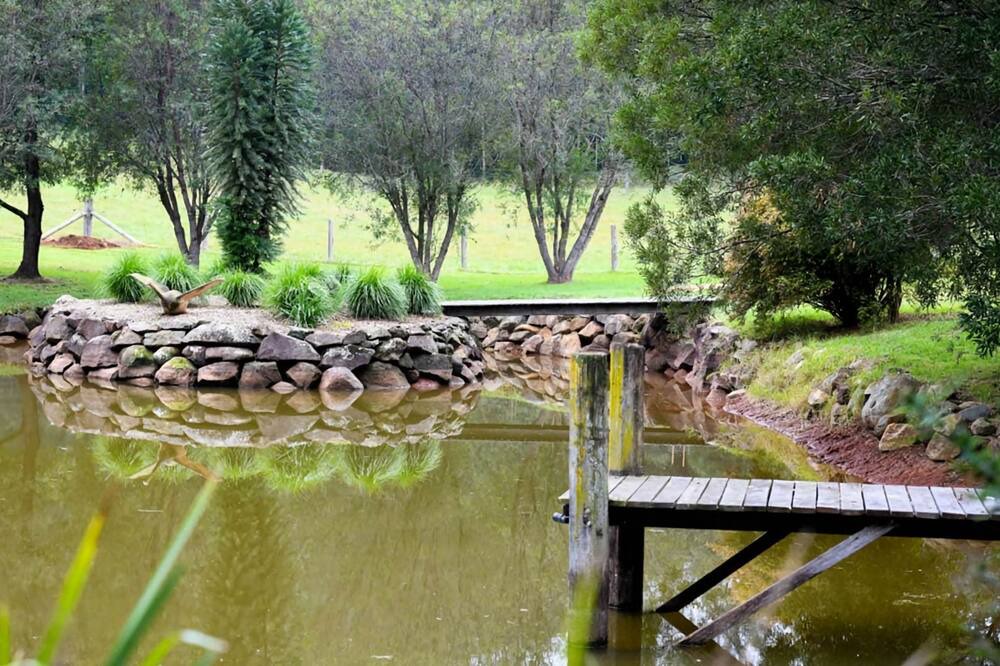 Photo of Others in Wattamolla