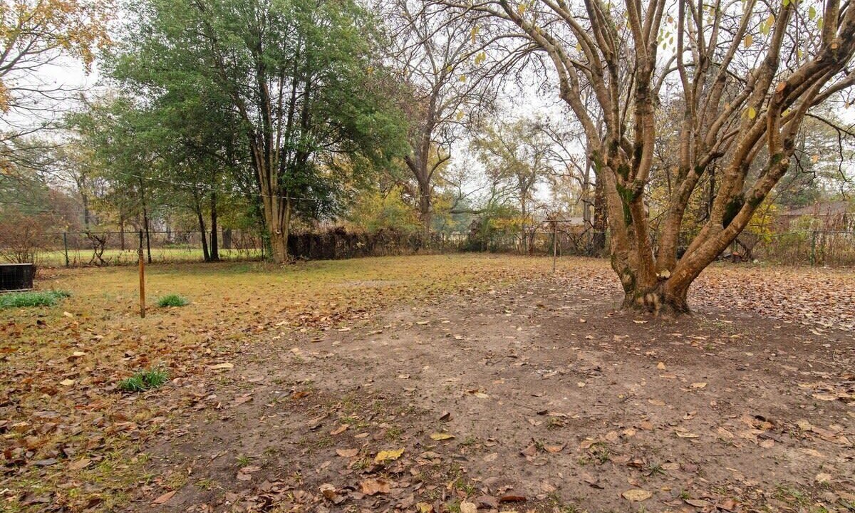 Photo of Outdoor in Poplar Grove