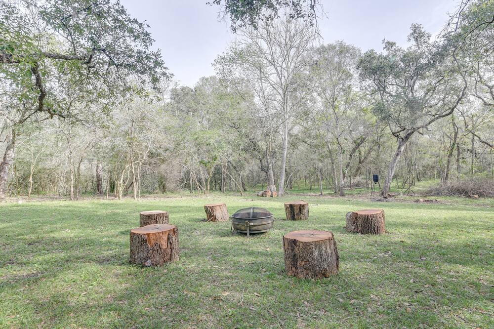 Photo of Outdoor in Damon