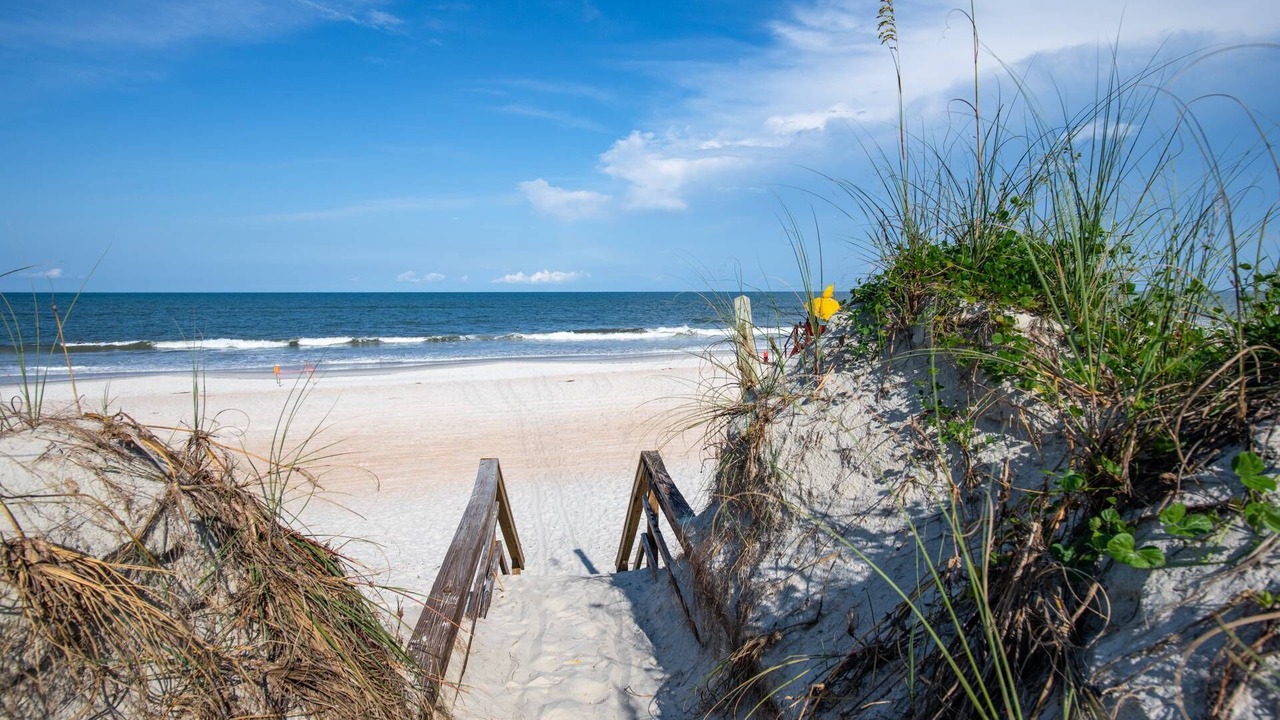 Photo of Outdoor in St. Augustine Beach