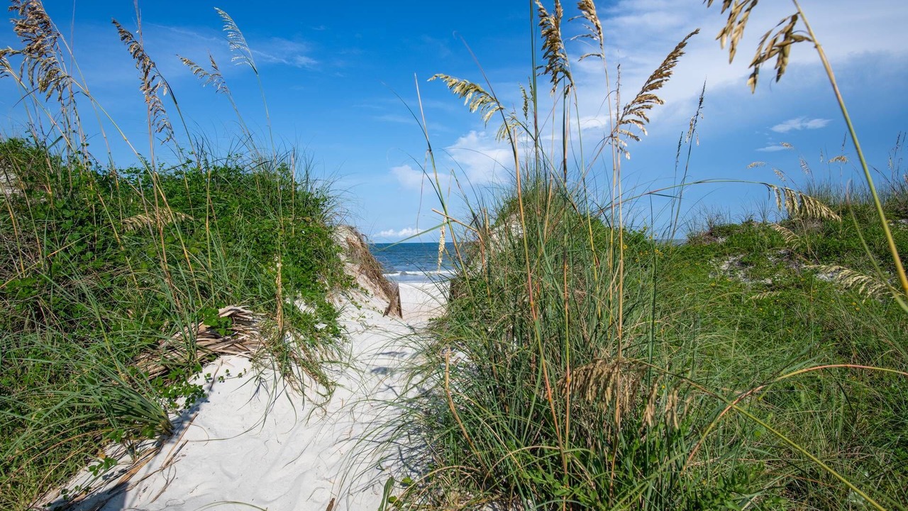 Photo of Outdoor in St. Augustine Beach