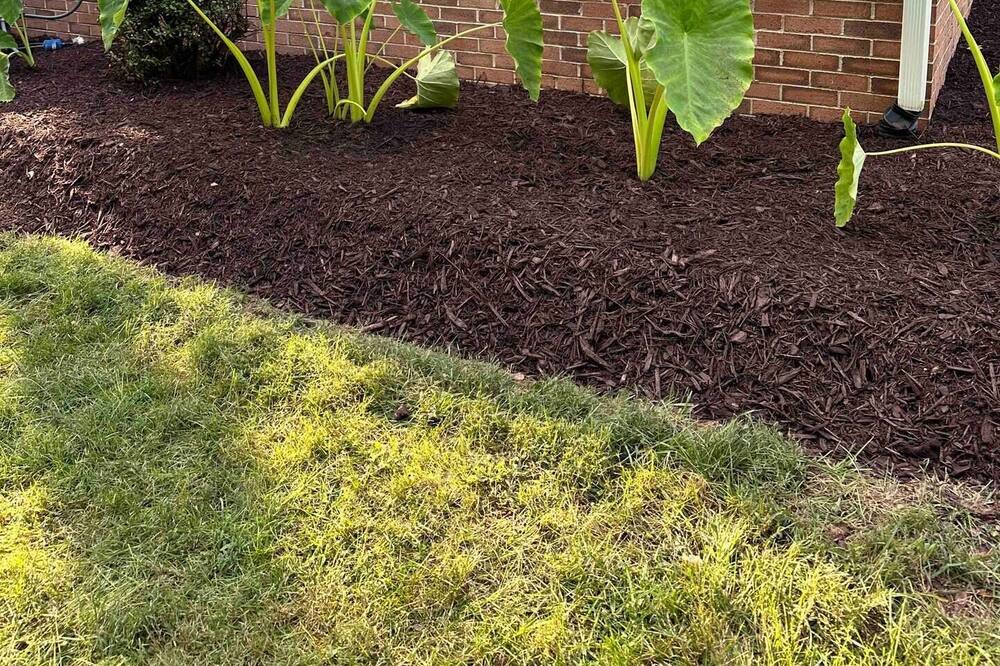 Photo of Outdoor in Cascade