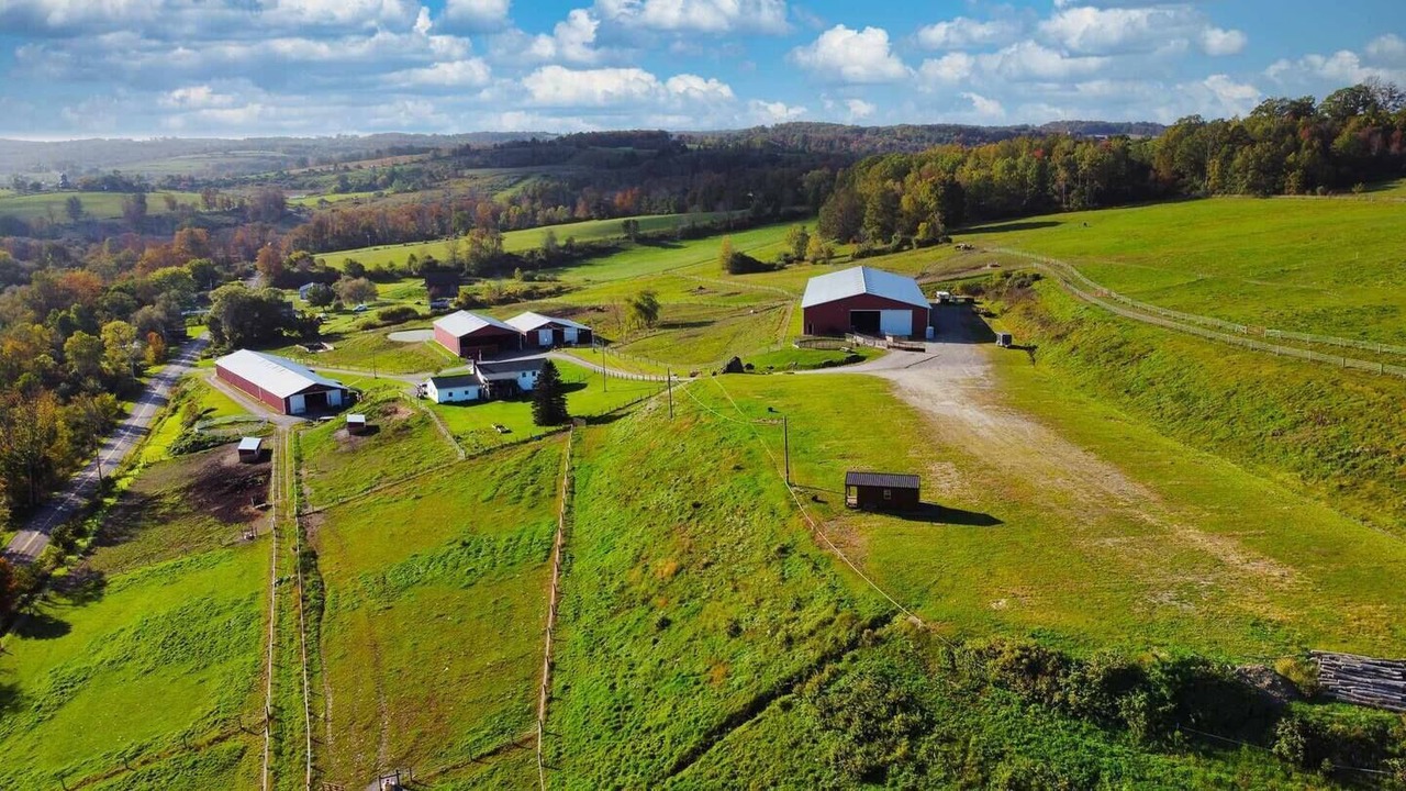 Photo of Others in Barton