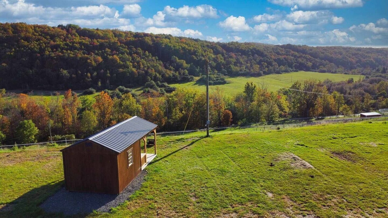 Photo of Outdoor in Barton