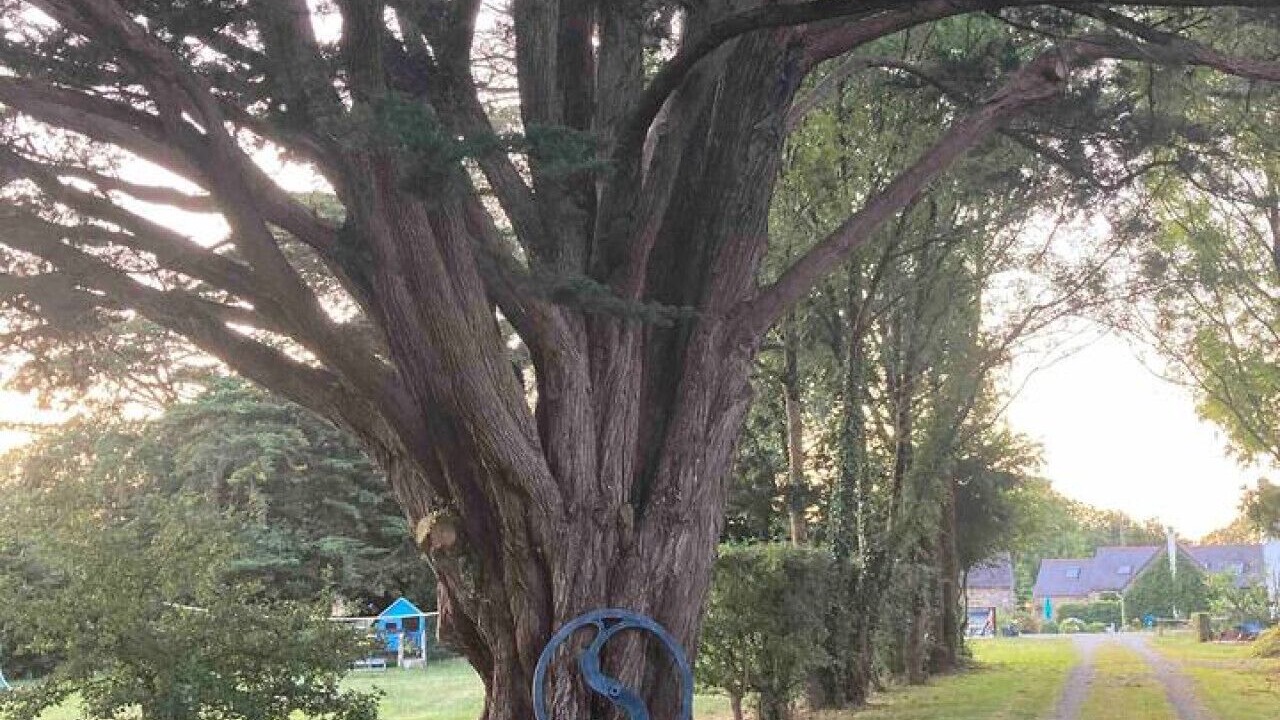 Photo of Outdoor in Argol