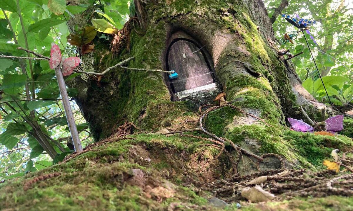 Photo of Outdoor in Argol