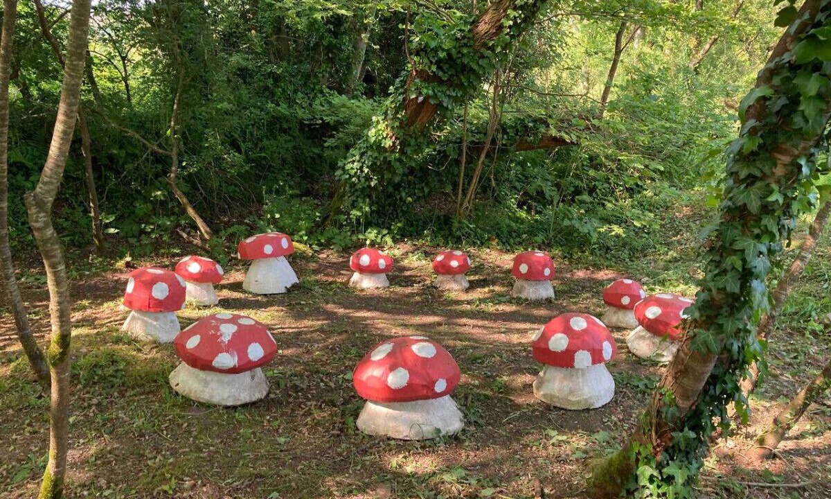 Photo of Outdoor in Argol