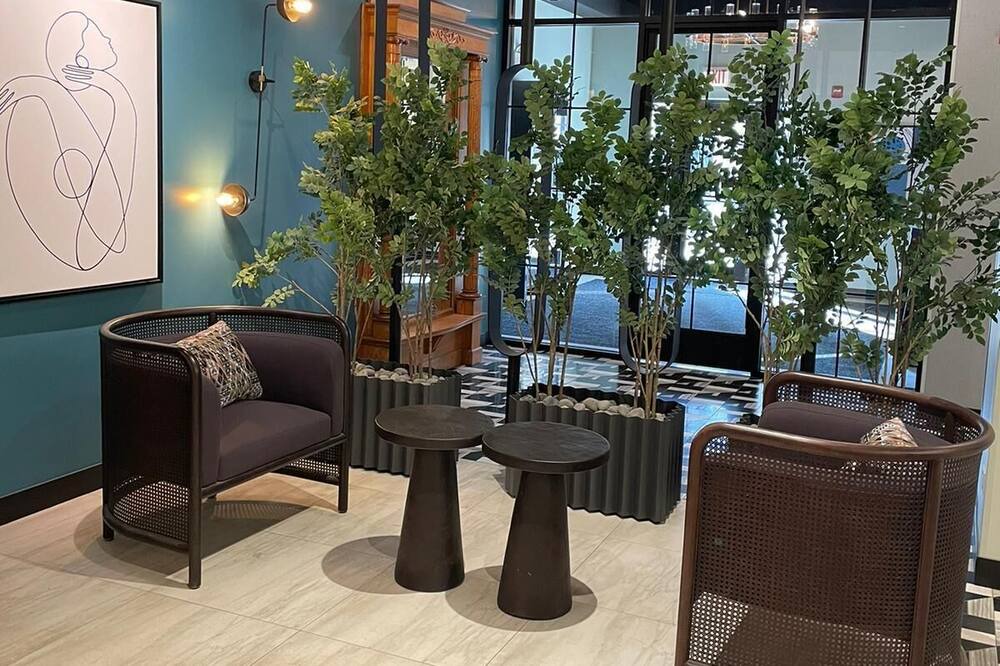 Photo of Others in Gold Coast