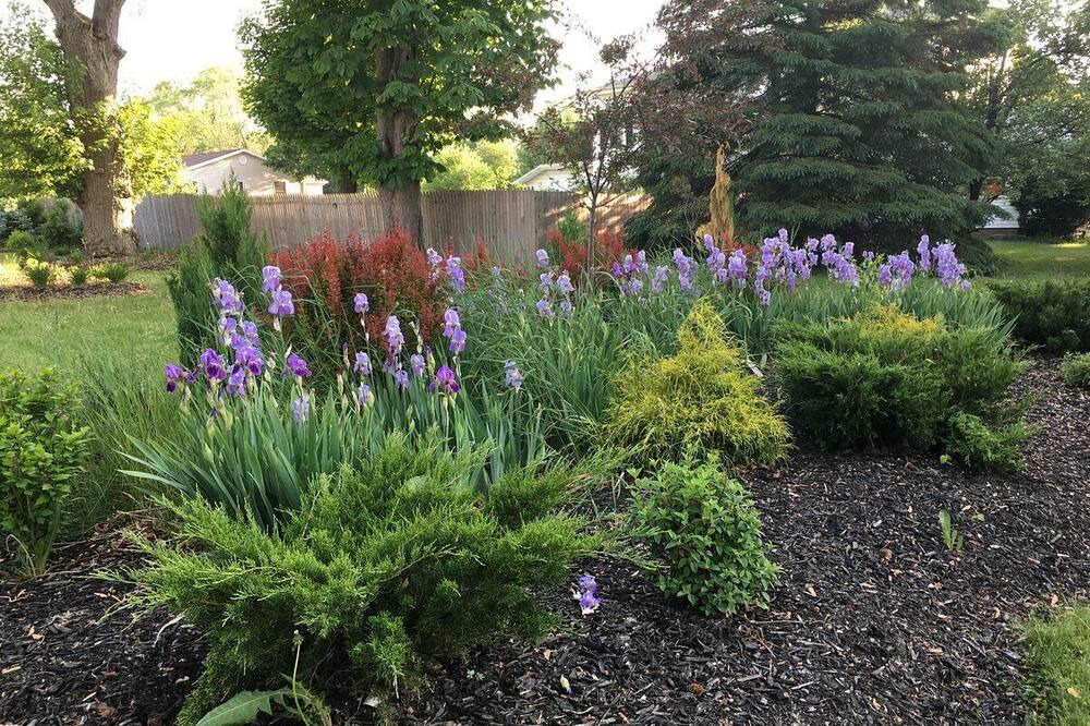 Photo of Outdoor in Manistee