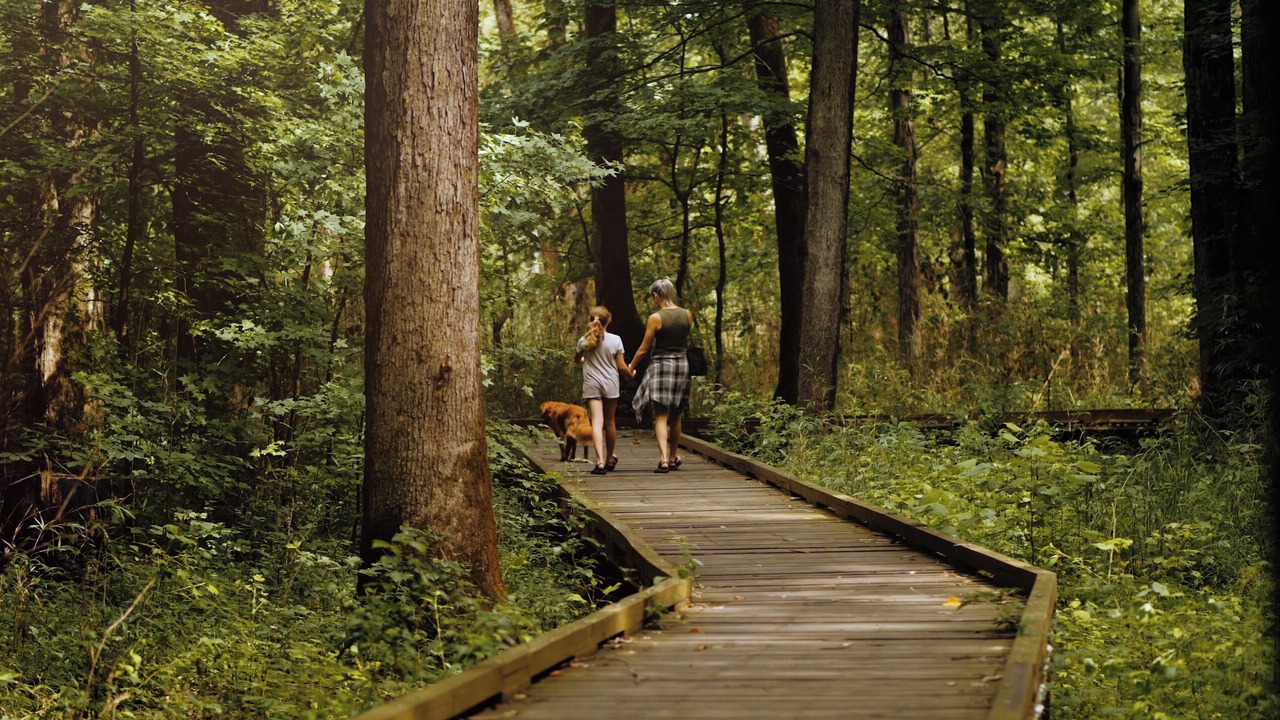 Photo of Outdoor in Gilbertsville