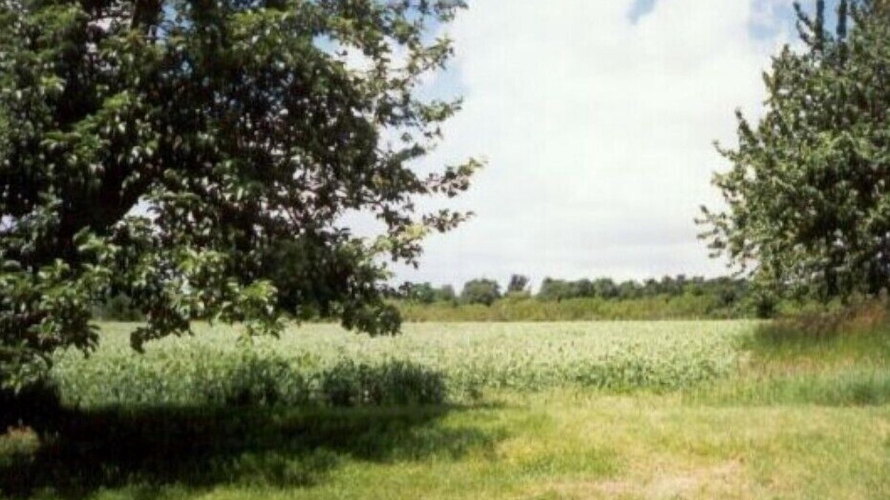 Photo of Others in Allonnes