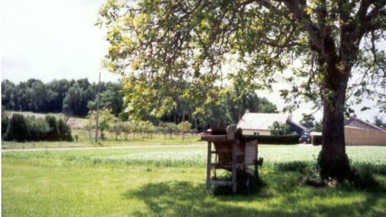 Photo of Outdoor in Allonnes