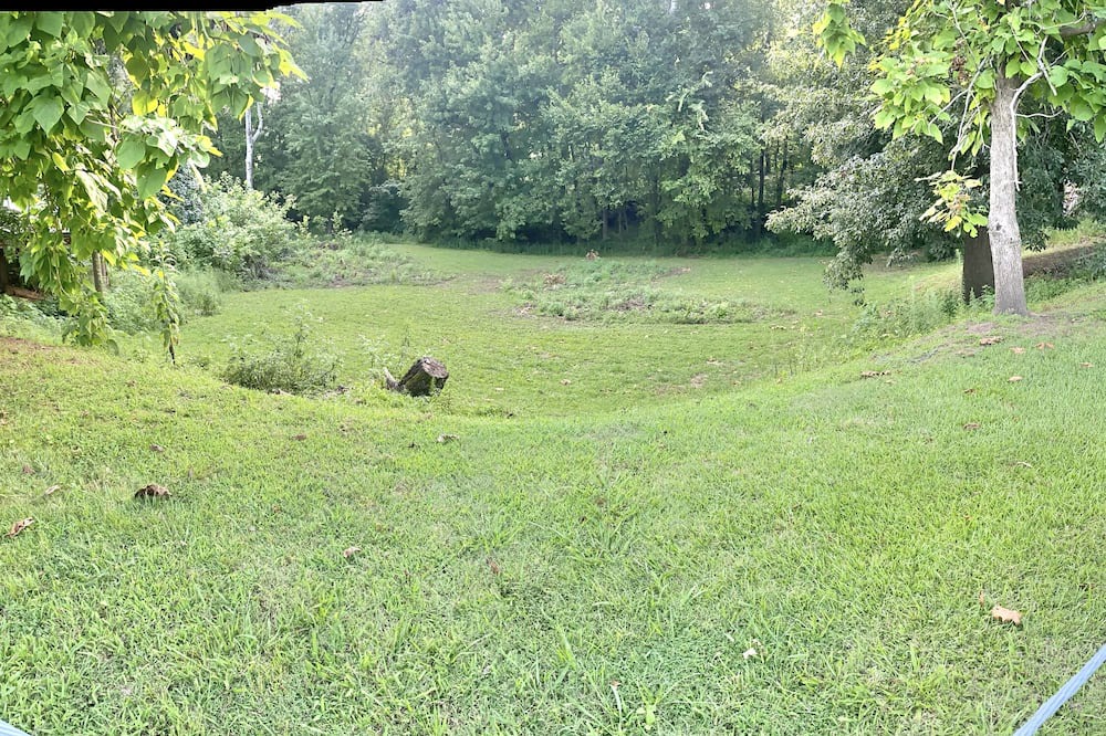 Photo of Outdoor in Savannah