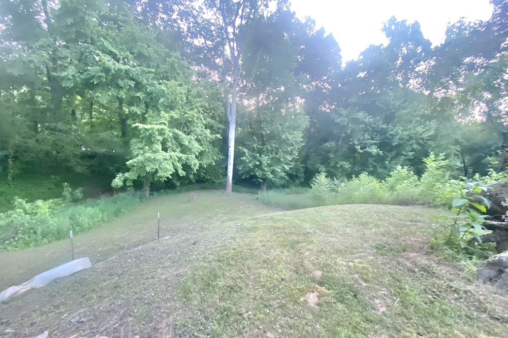 Photo of Outdoor in Savannah
