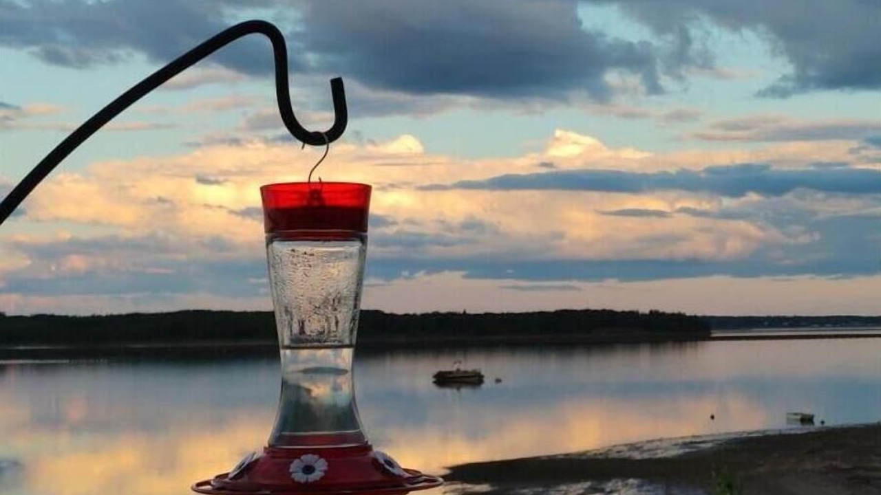 Photo of Outdoor in Cormierville