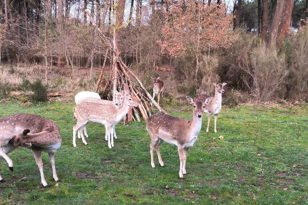 Photo of Others in Amboise