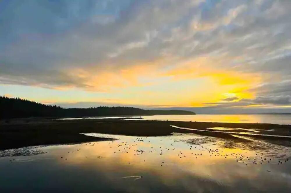 Photo of Others in Port Hadlock