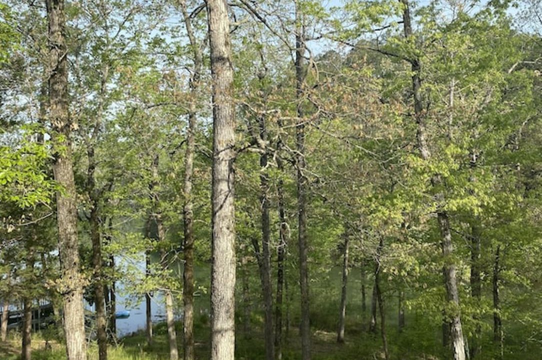 Photo of Outdoor in Mid America