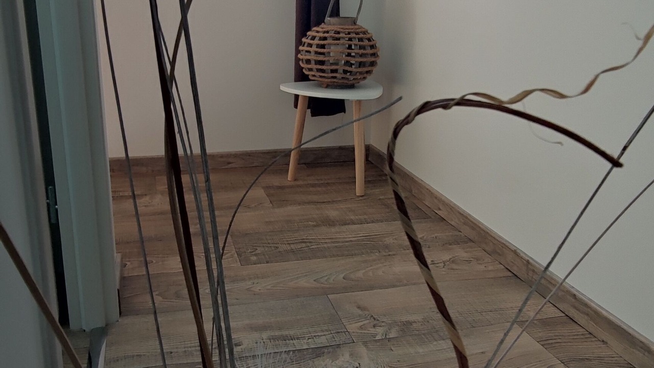 Photo of Others in Canaules-et-Argentieres