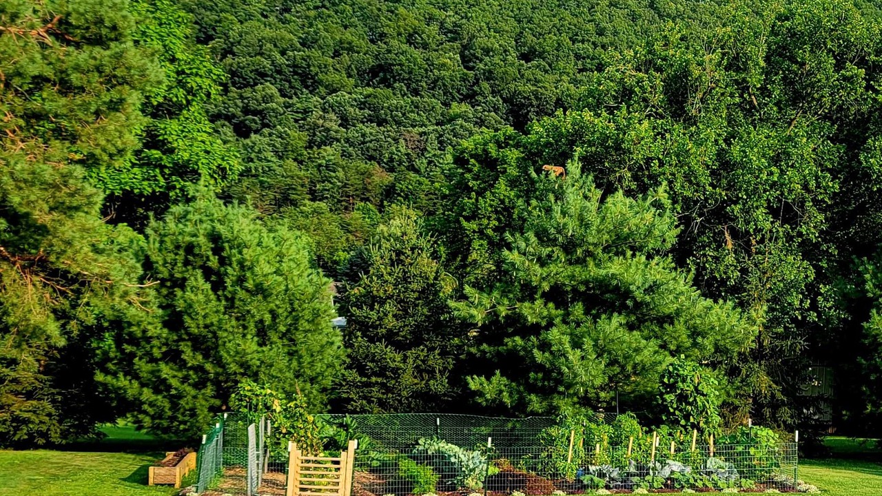 Photo of Outdoor in Huntingdon