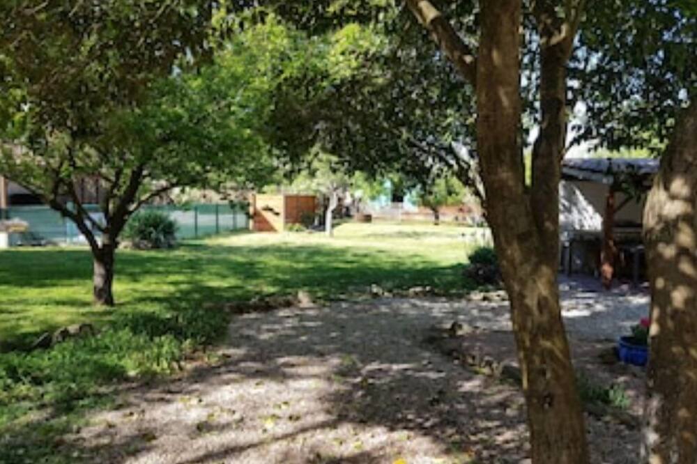 Photo of Outdoor in Pomas