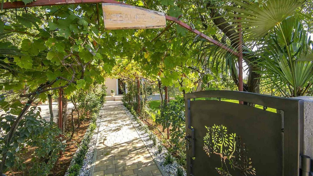 Photo of Outdoor in Musalez