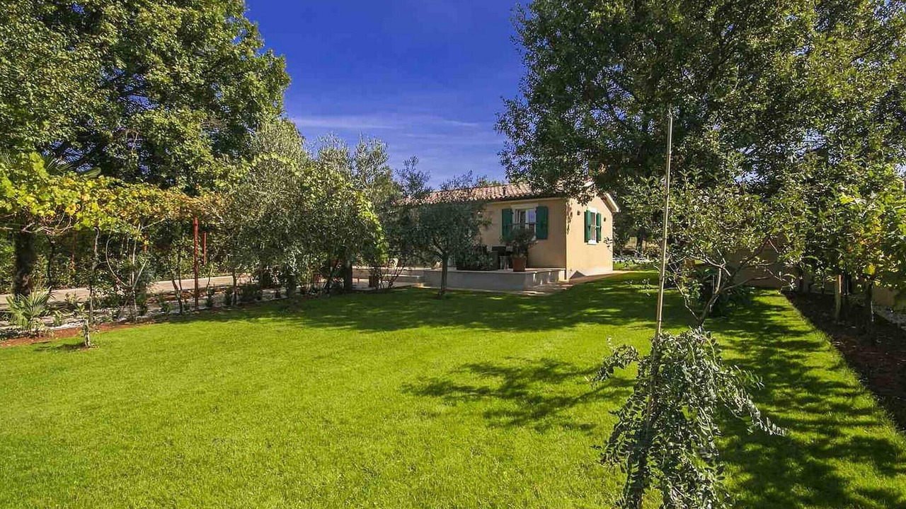 Photo of Outdoor in Musalez