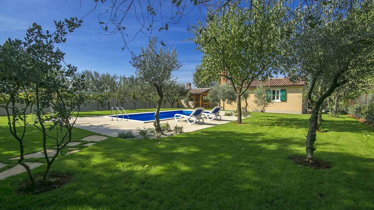 Photo of Outdoor in Musalez